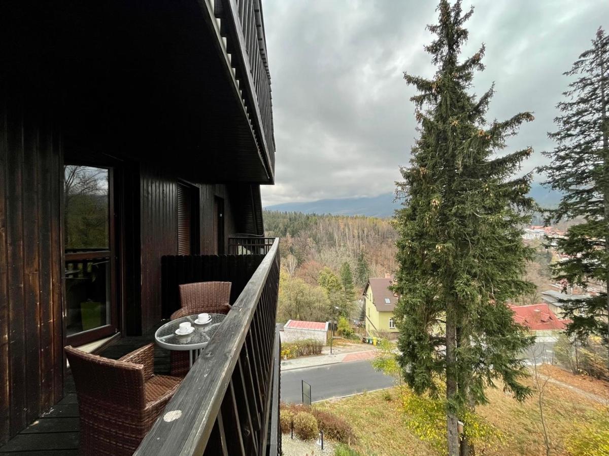 Trevilles Apartamenty Londyn Шклярська Поремба Екстер'єр фото
